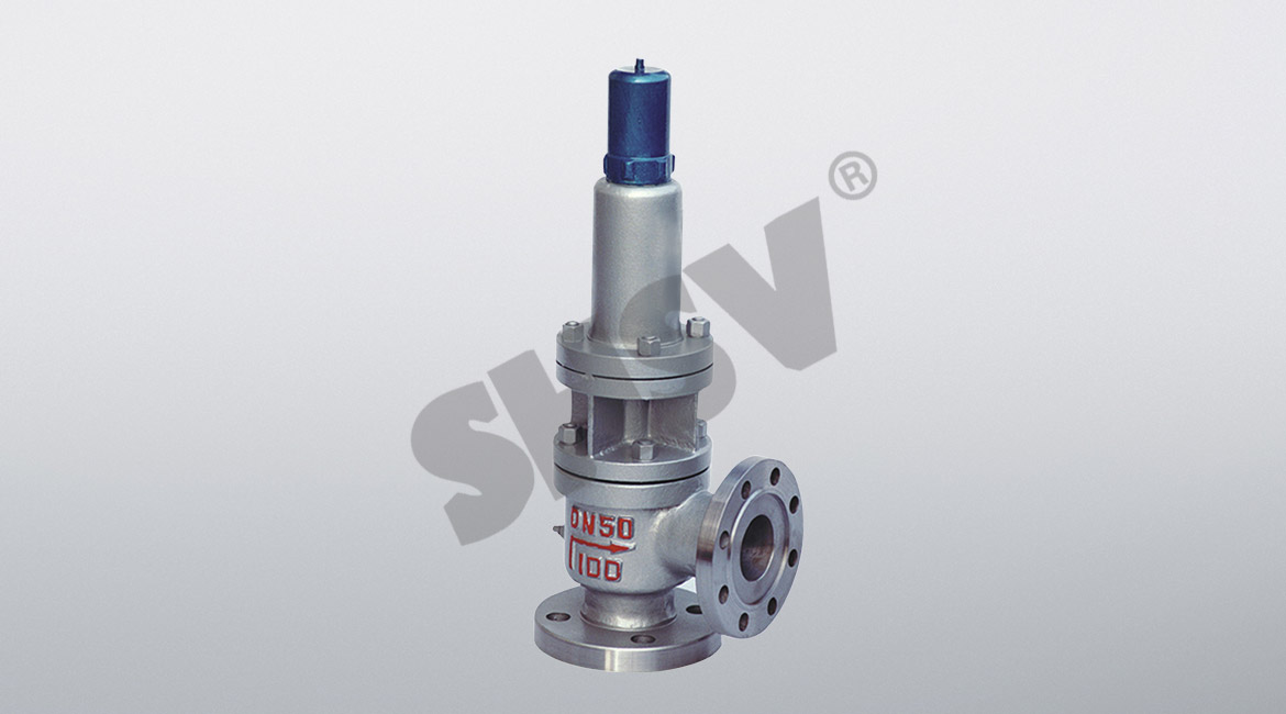 Spring-loaded safety valve with spring
