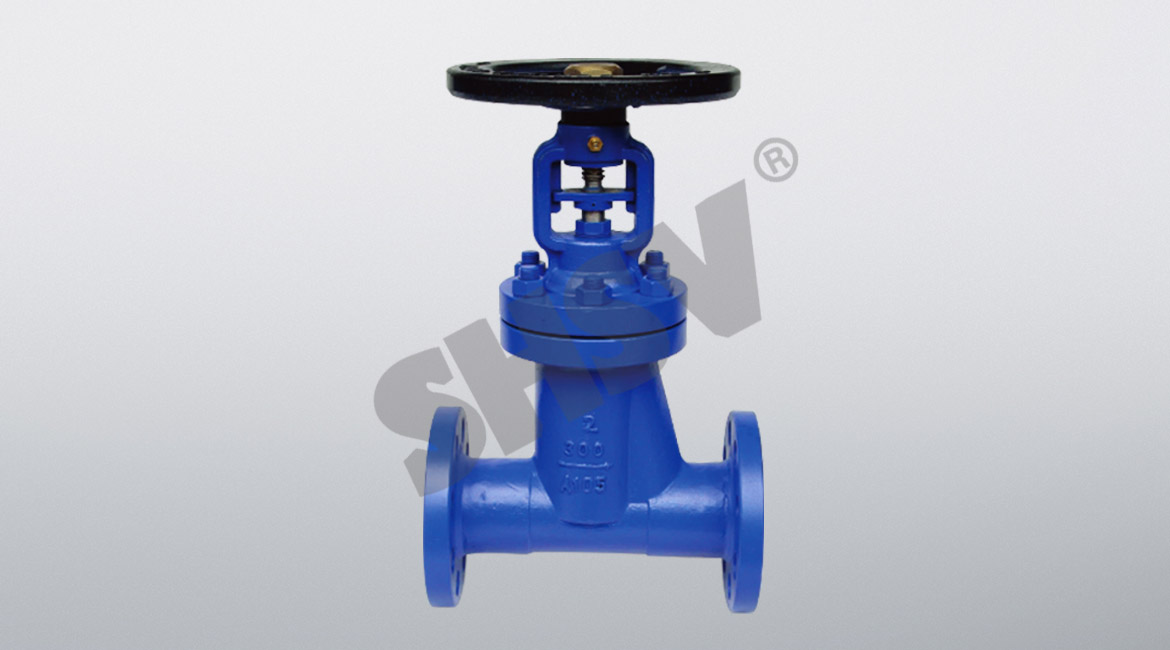 American Standard (A105) bellows globe valve