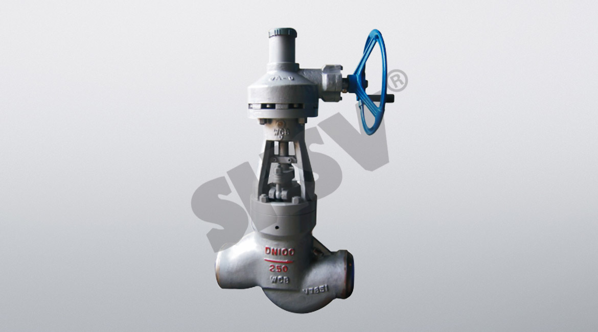 High temperature and pressure globe valve