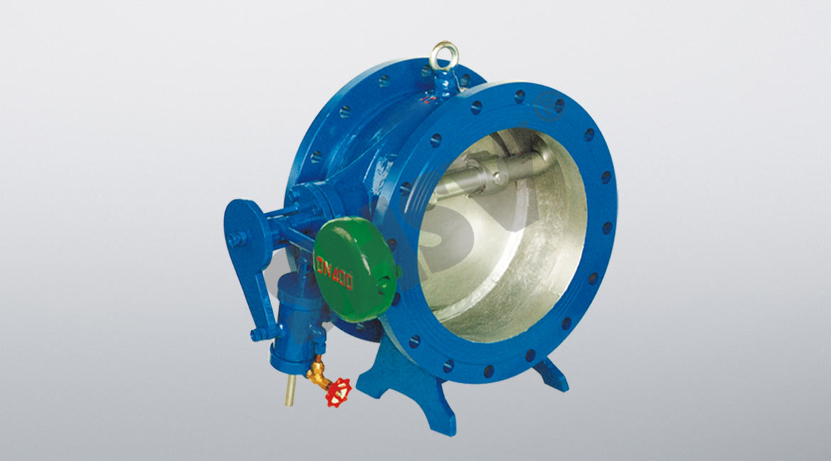Butterfly cushion check valve 