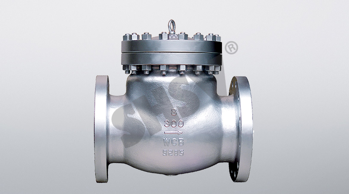American standard spin check valve