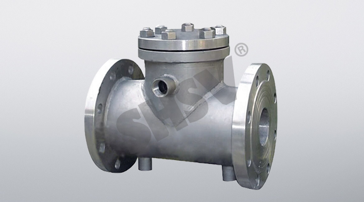Insulation check valve
