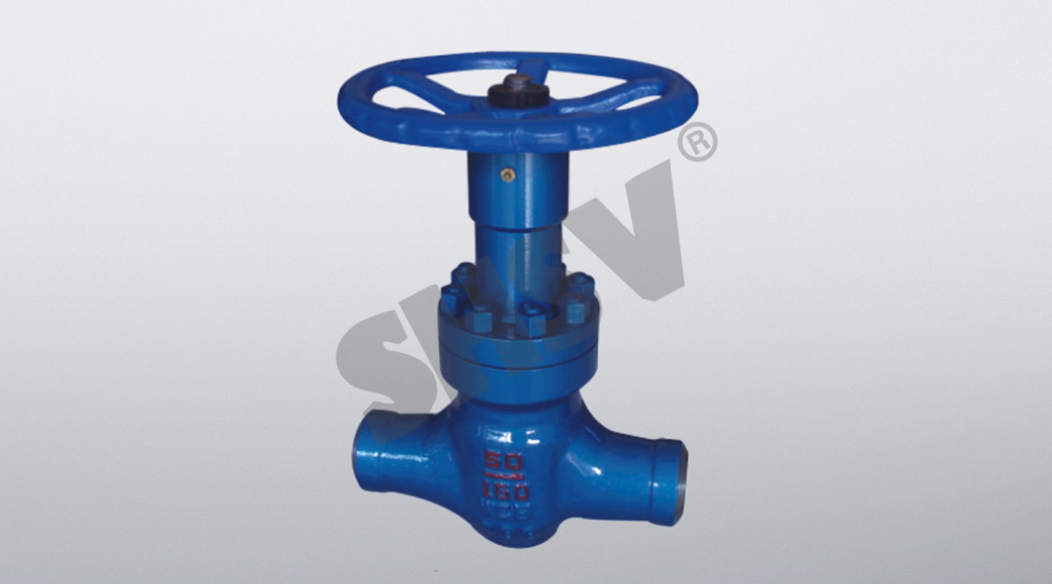 Balanced control valve