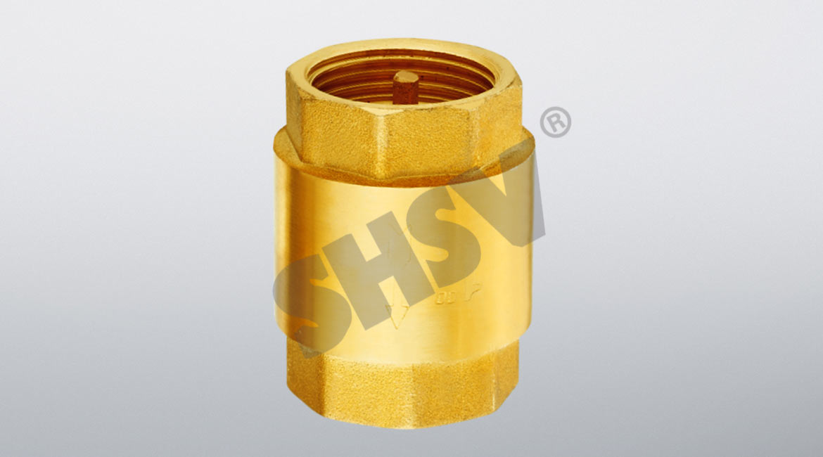 Brass vertical check valve